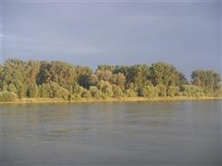 abends am Rhein